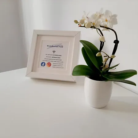 Wonderful - Liguria Italia Apartament
